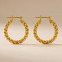 Serena Earrings - The Golden Twist Hoops